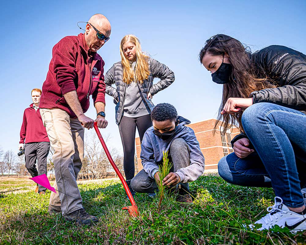MSU celebrates Arbor Day with annual tree planting Mississippi State