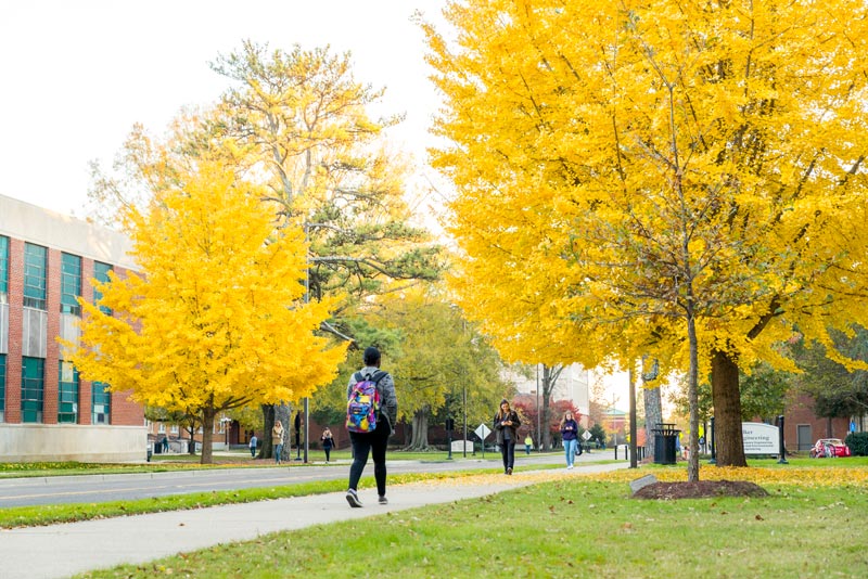 Farewell to Fall | Mississippi State University