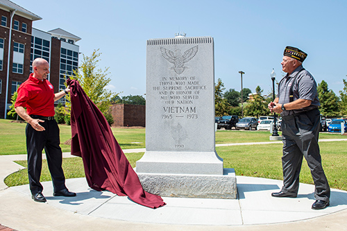 Missing Piece Project  An Intervention at the Vietnam Memorial by